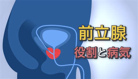 陰阜突出